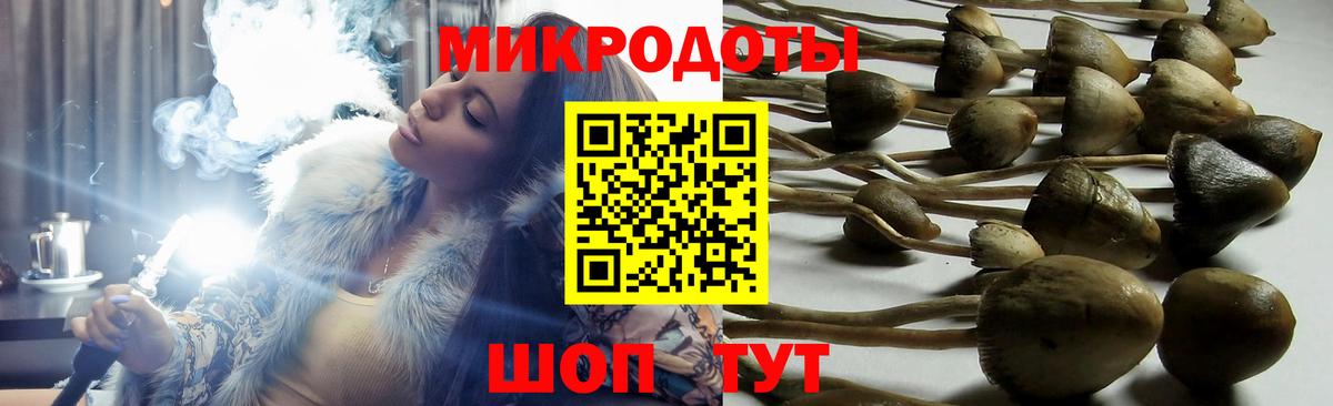 Кушва  Псилоцибиновые грибы прущие грибы  Вход с VPN 